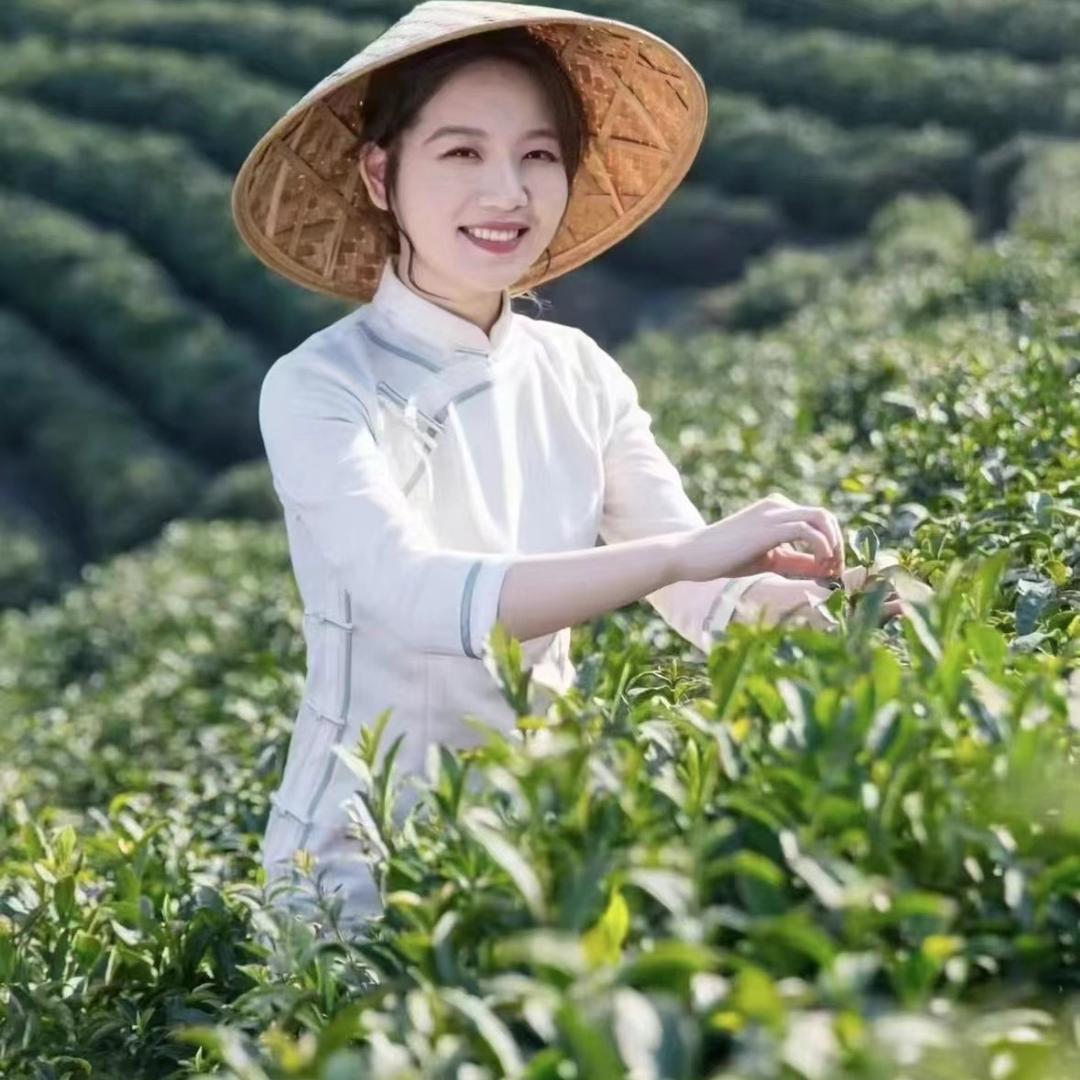 金骏眉源头茶厂