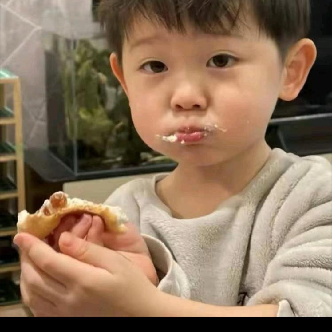 z豪