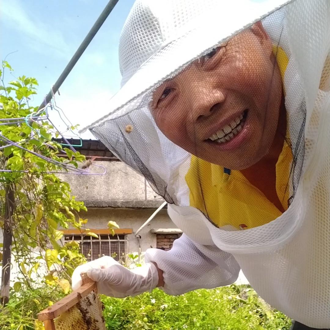 蜜罐子陈