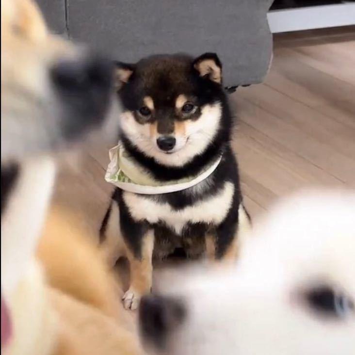 王铁柱。