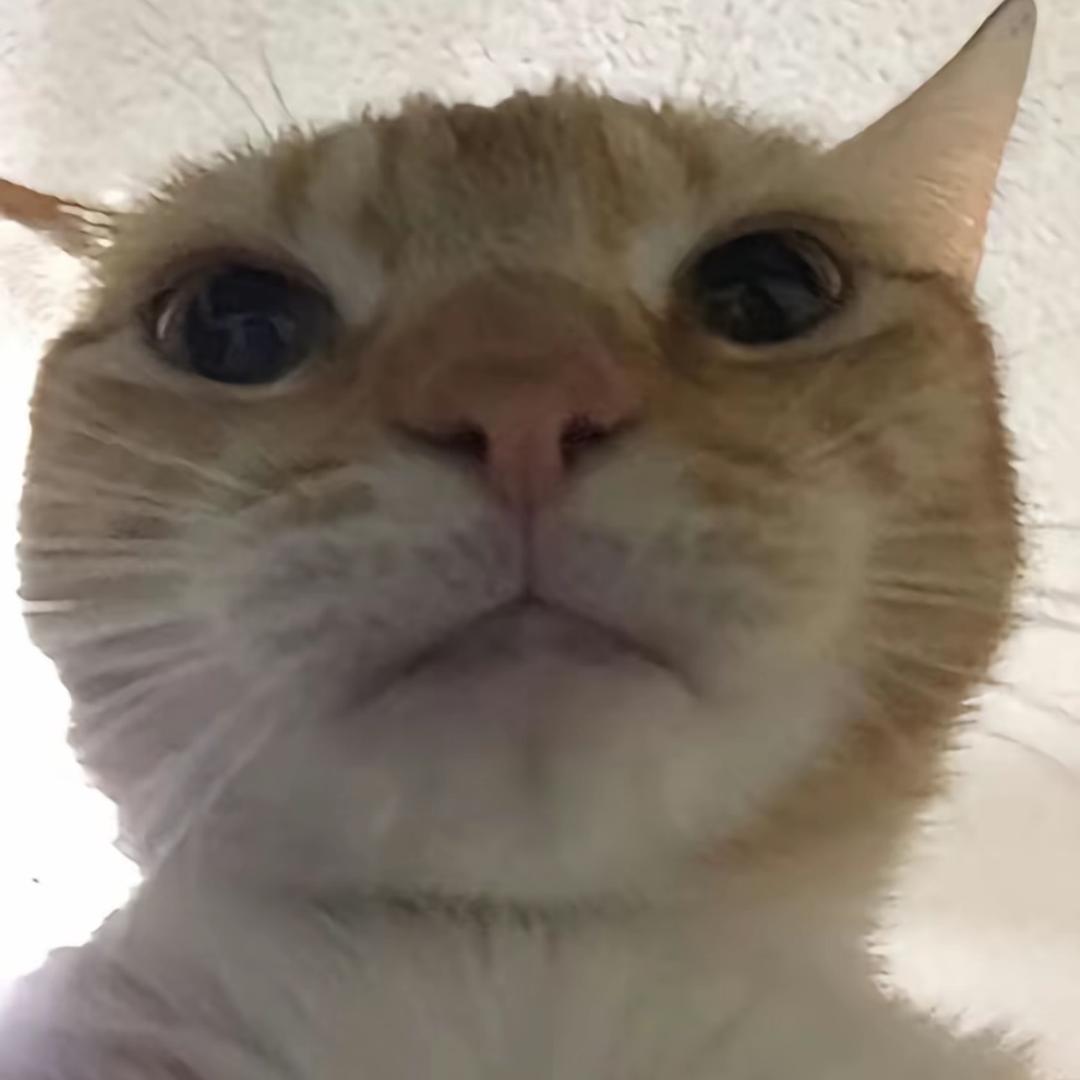 阿飞的三角洲（六年之约）