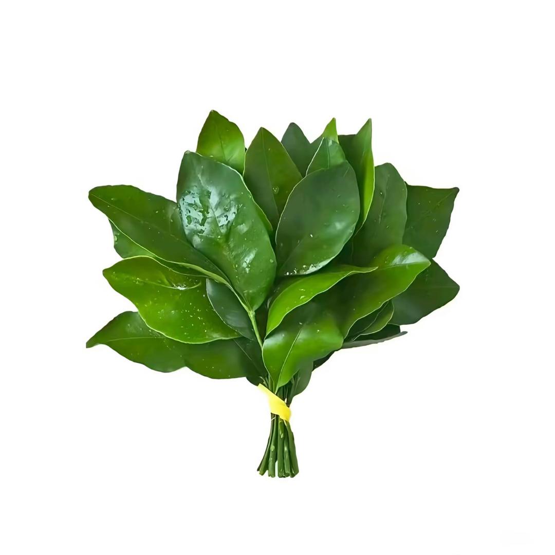 好运连连财源广进🪷
