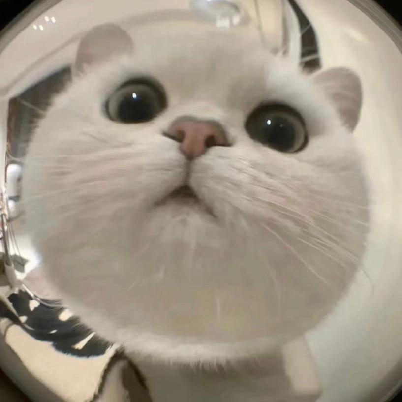 𝓛𝓸𝓿𝓮 𝓵𝓲𝓯𝓮