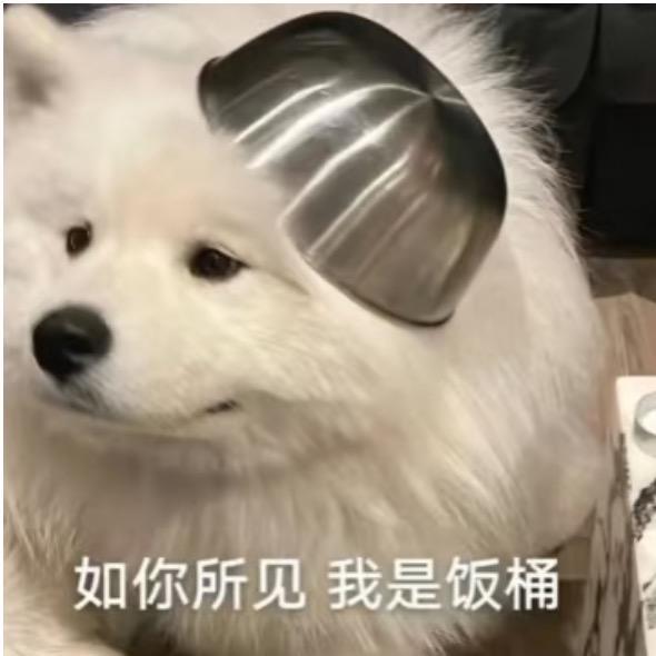 是blue啊.