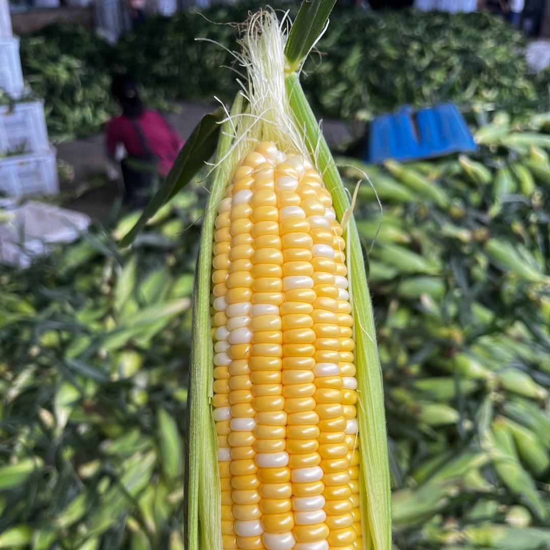 这是一家蔬果店