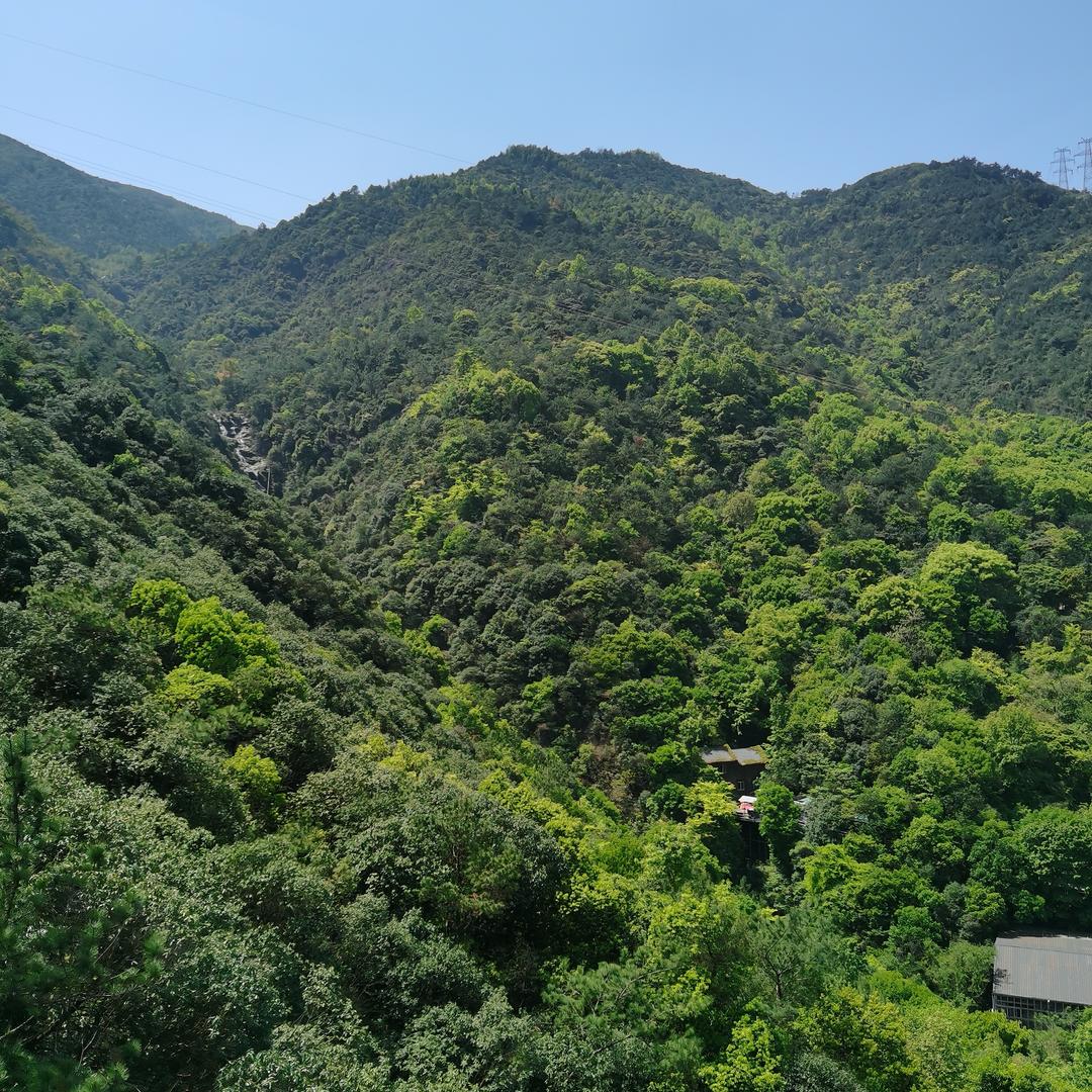 简单快乐💃🏿