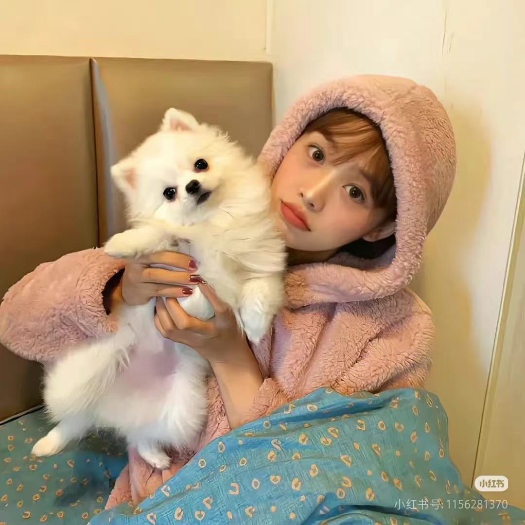 西西🔥互涨1000粉🔥交友交个朋友