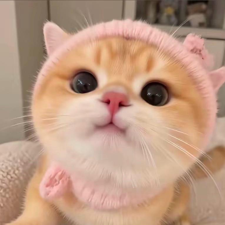 *🌈🌈🌈🌈🌈🌈🌈🌈.🍭