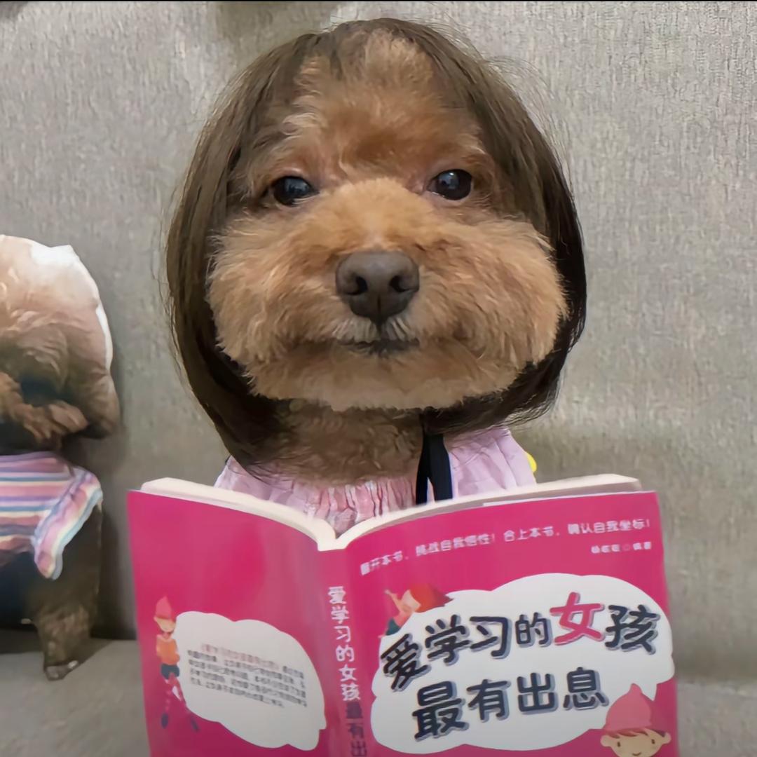 都可以.