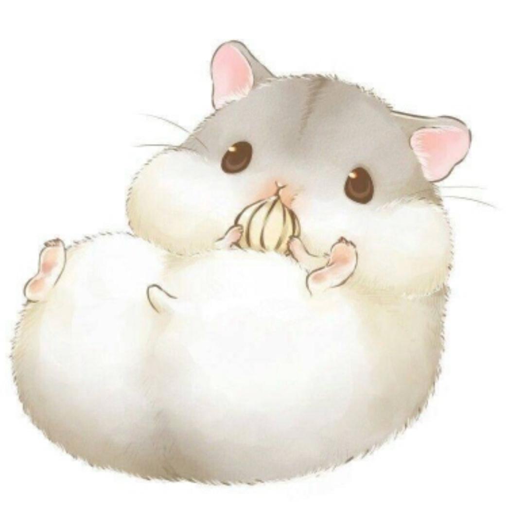 广灵土特产官方号