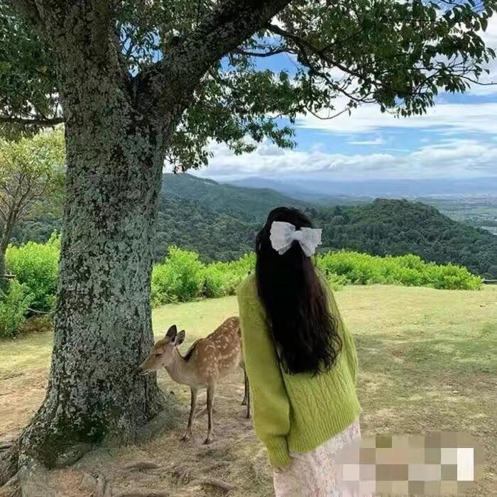 贝贝花园.