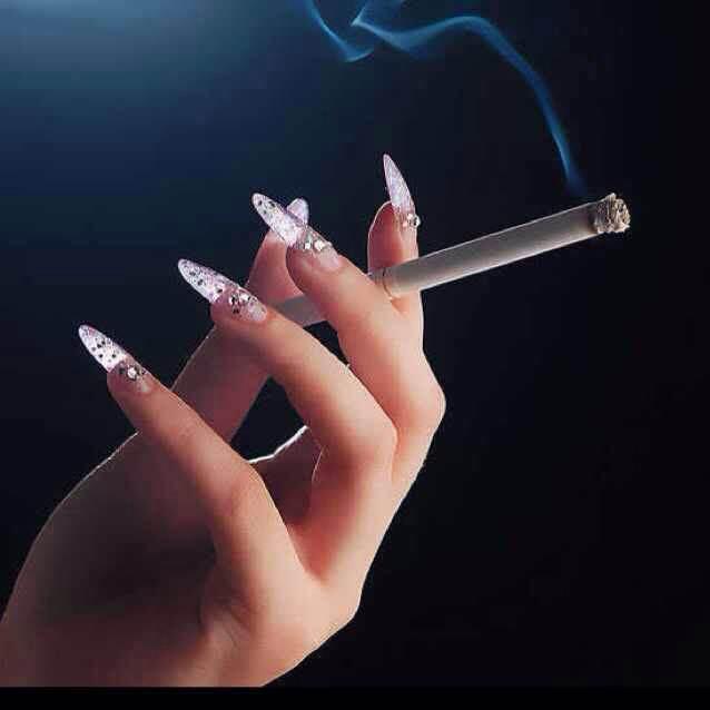 凤舞九天⭐️头像