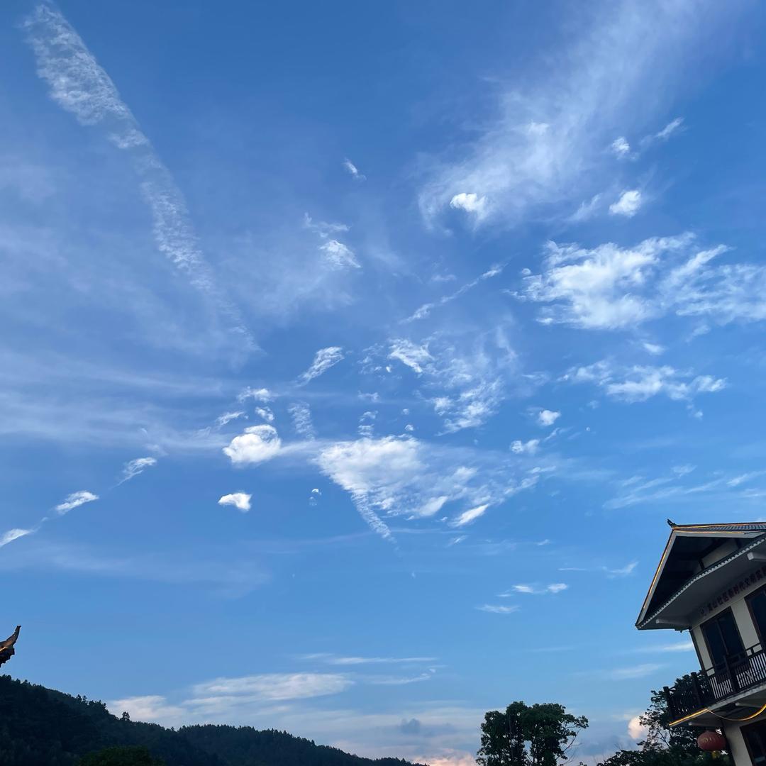 大鸟已逝