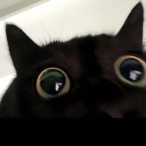粥