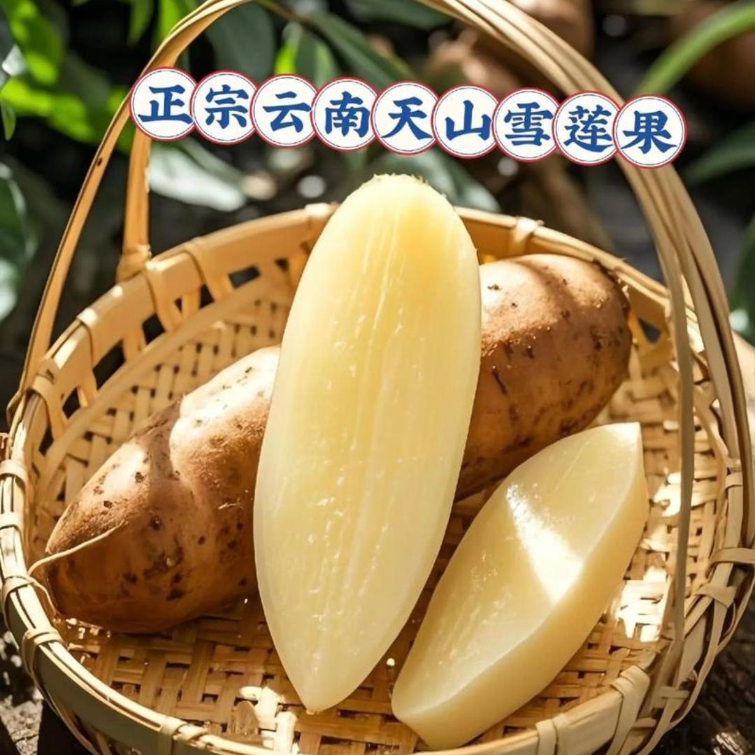 真果中的水果