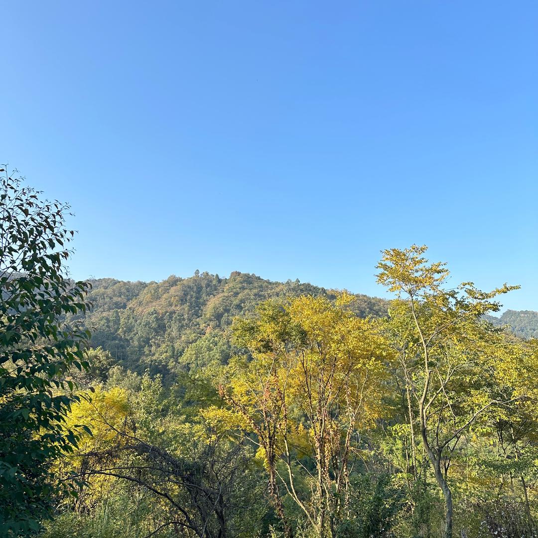 xuan