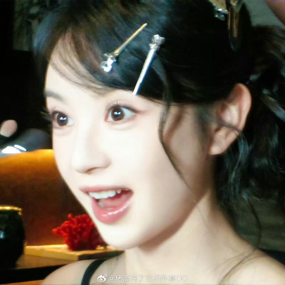 过于积极的小猫