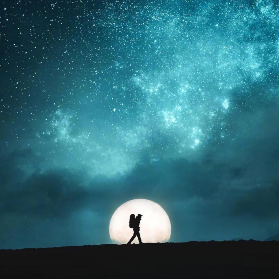 沙海🌠