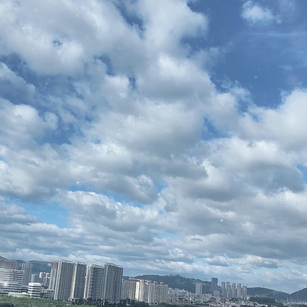 亮哥百货-风知意