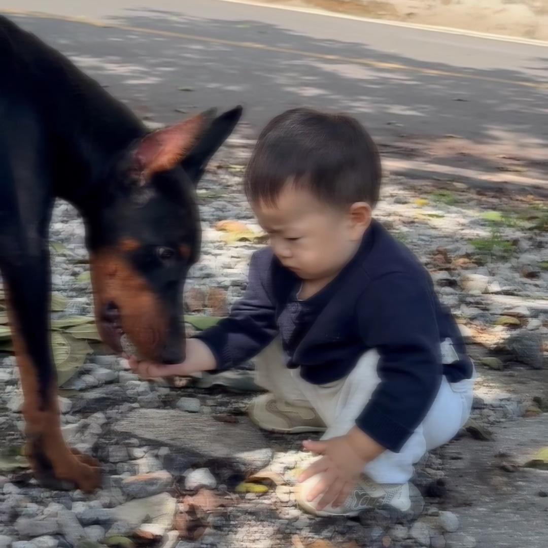 陈国泰
