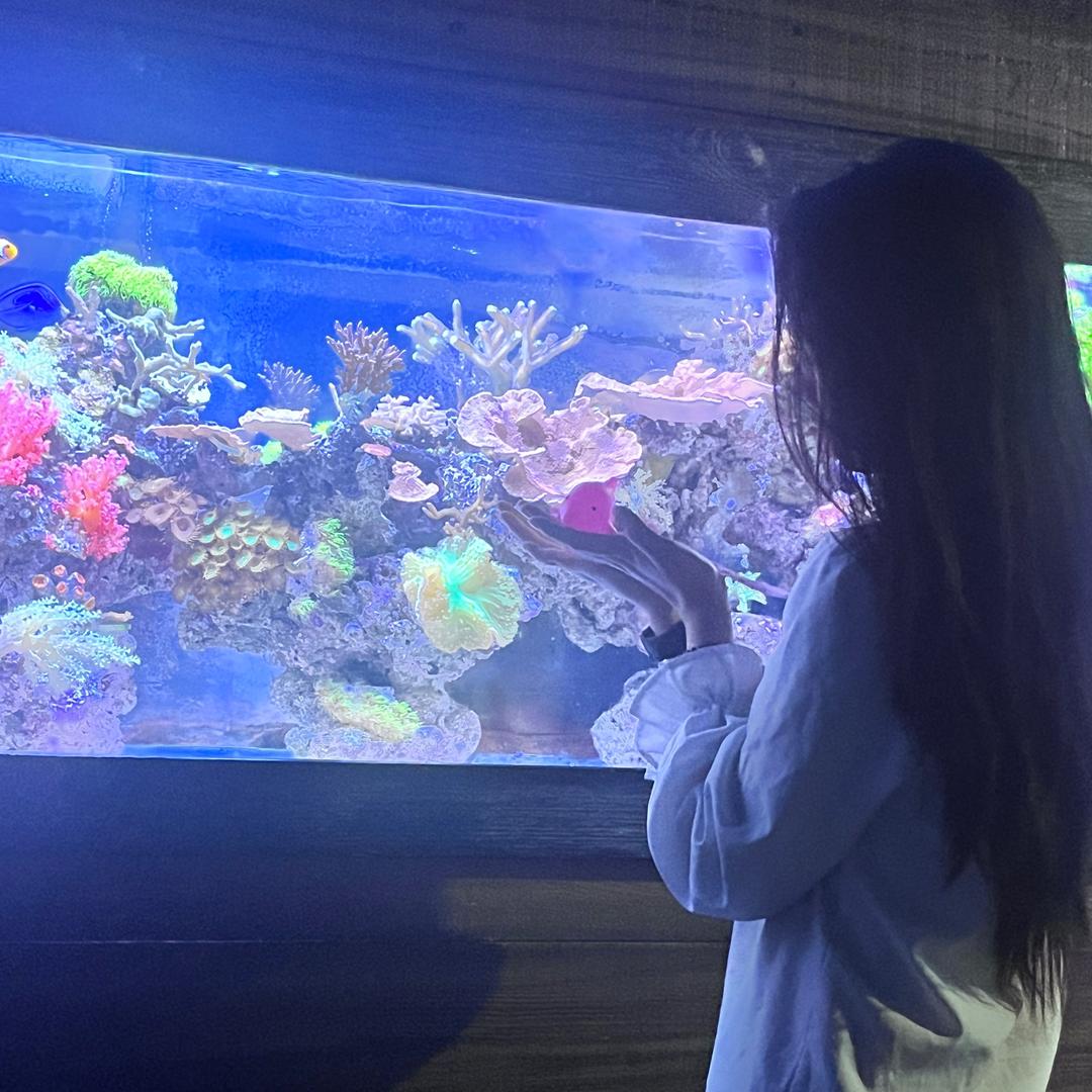 暖暖糖水铺