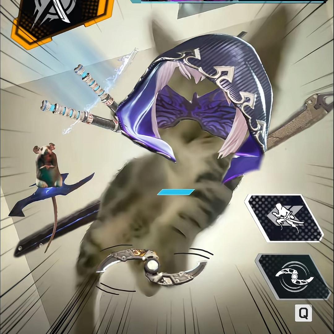 赐我万里无忧风