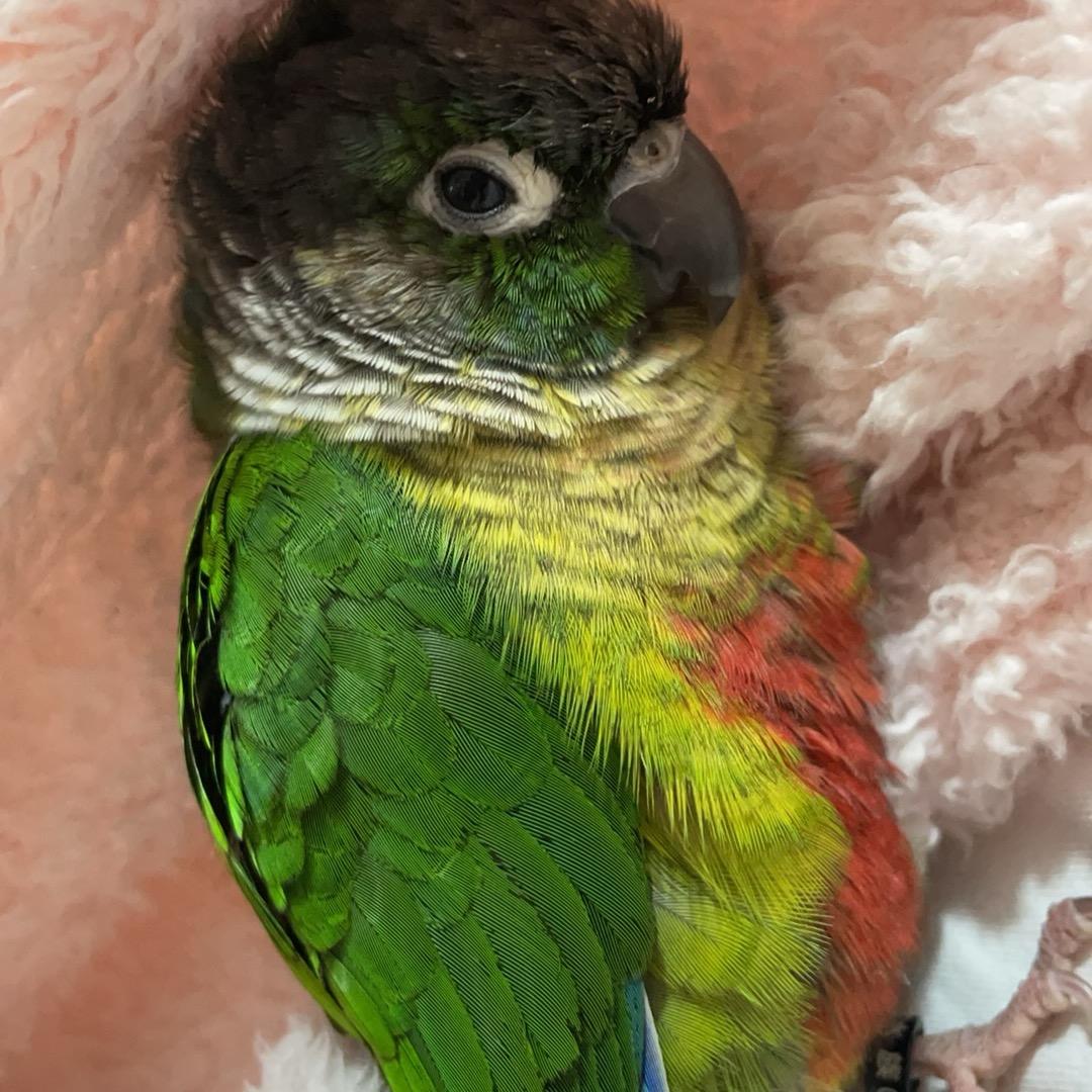 嘿&  是小张啊……