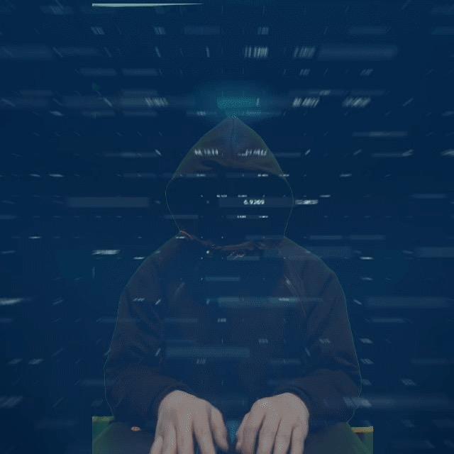 金铲子网络科技