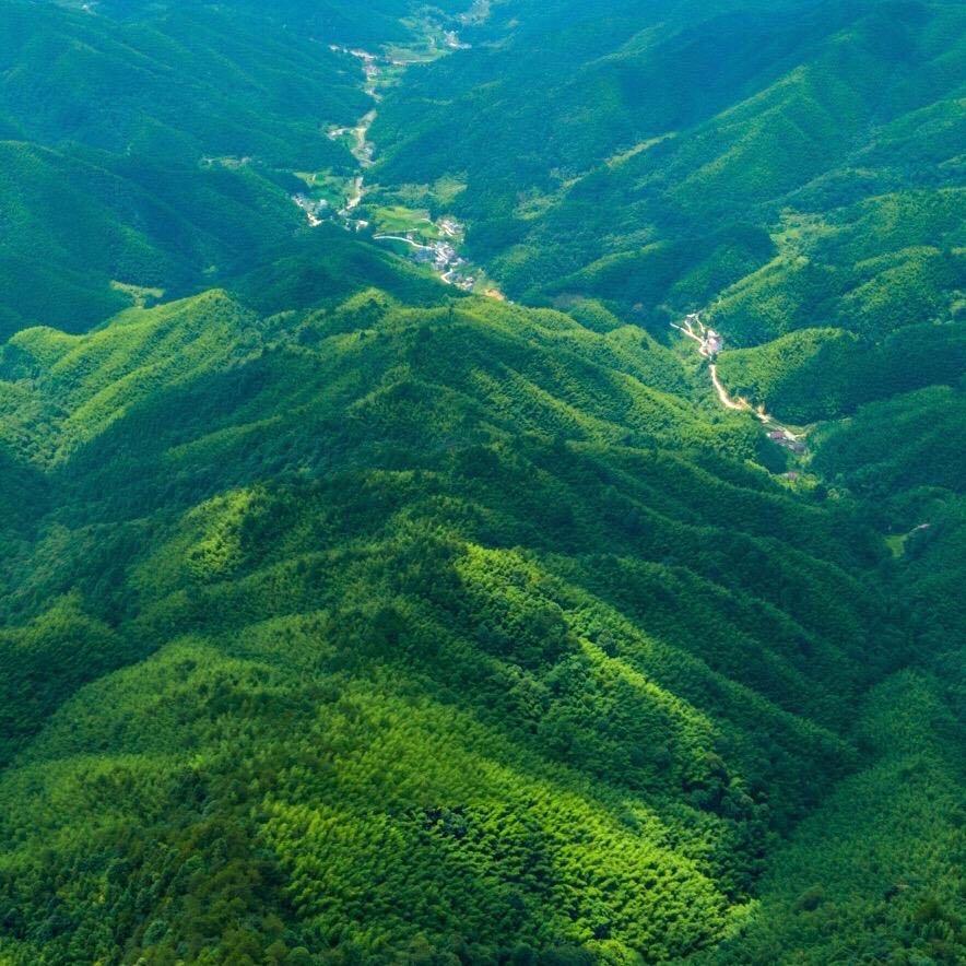 闲炊球晚