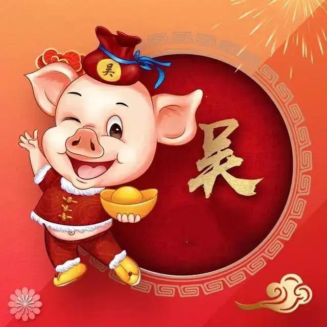 吴志强（逢吴必赞）