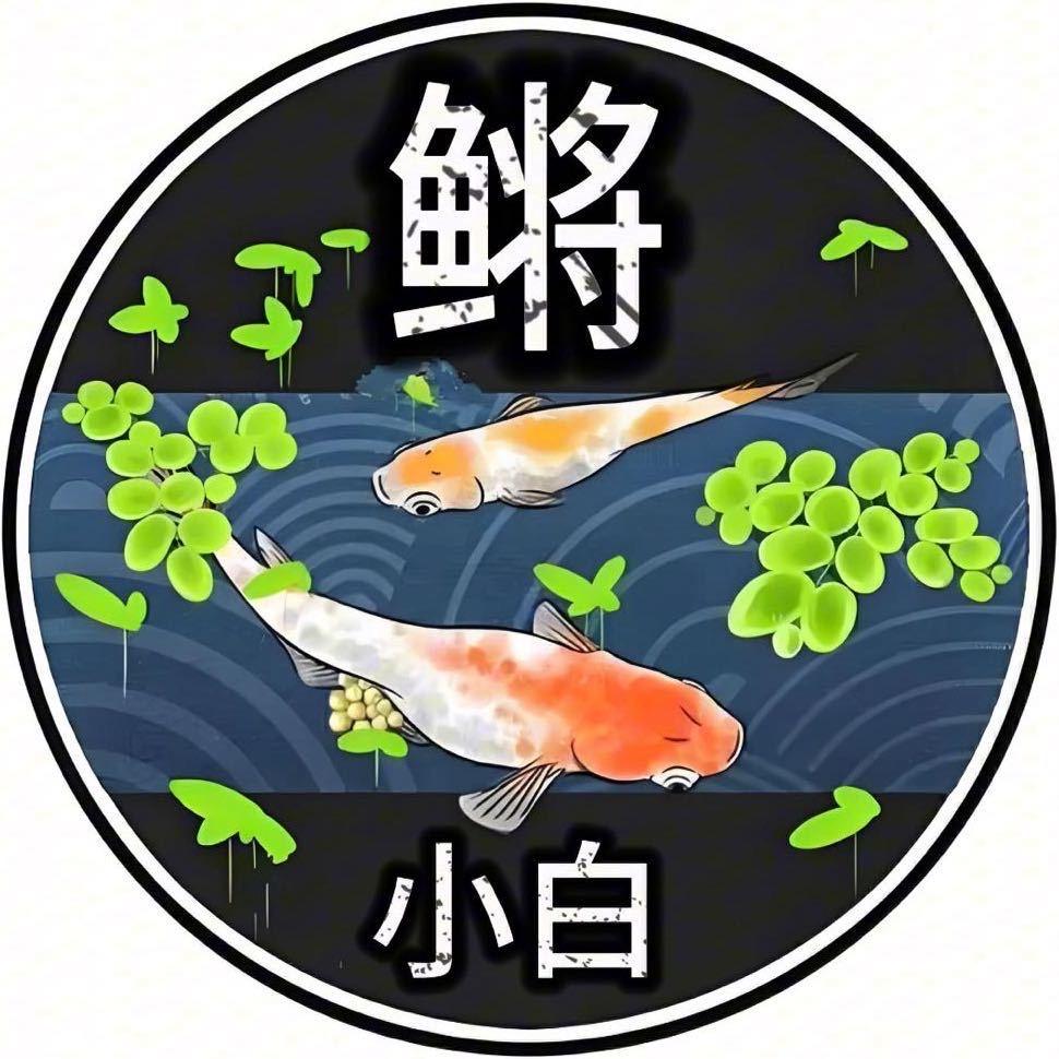 我是鳉小白