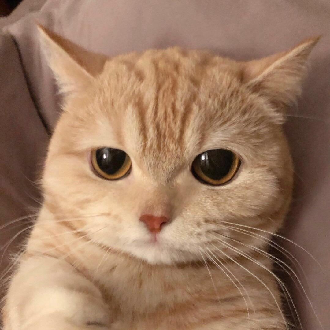 没有故事-