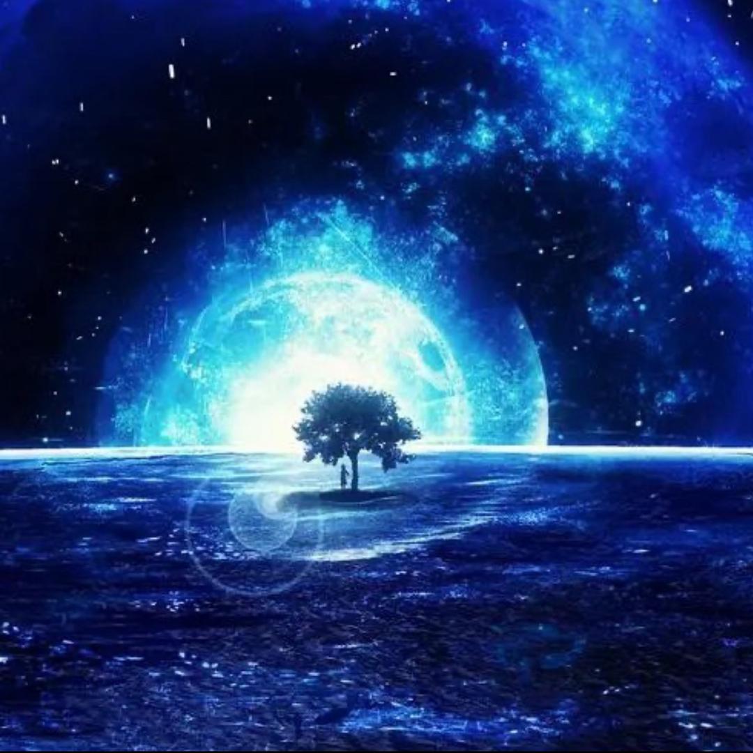 星畅游