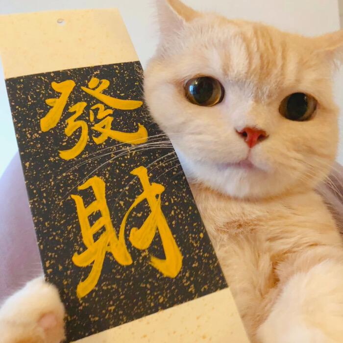 富婆真的很想当💰