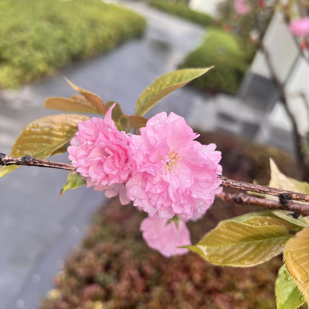 阳光
