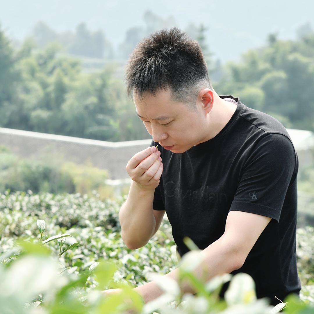 了如茶茶叶旗舰店