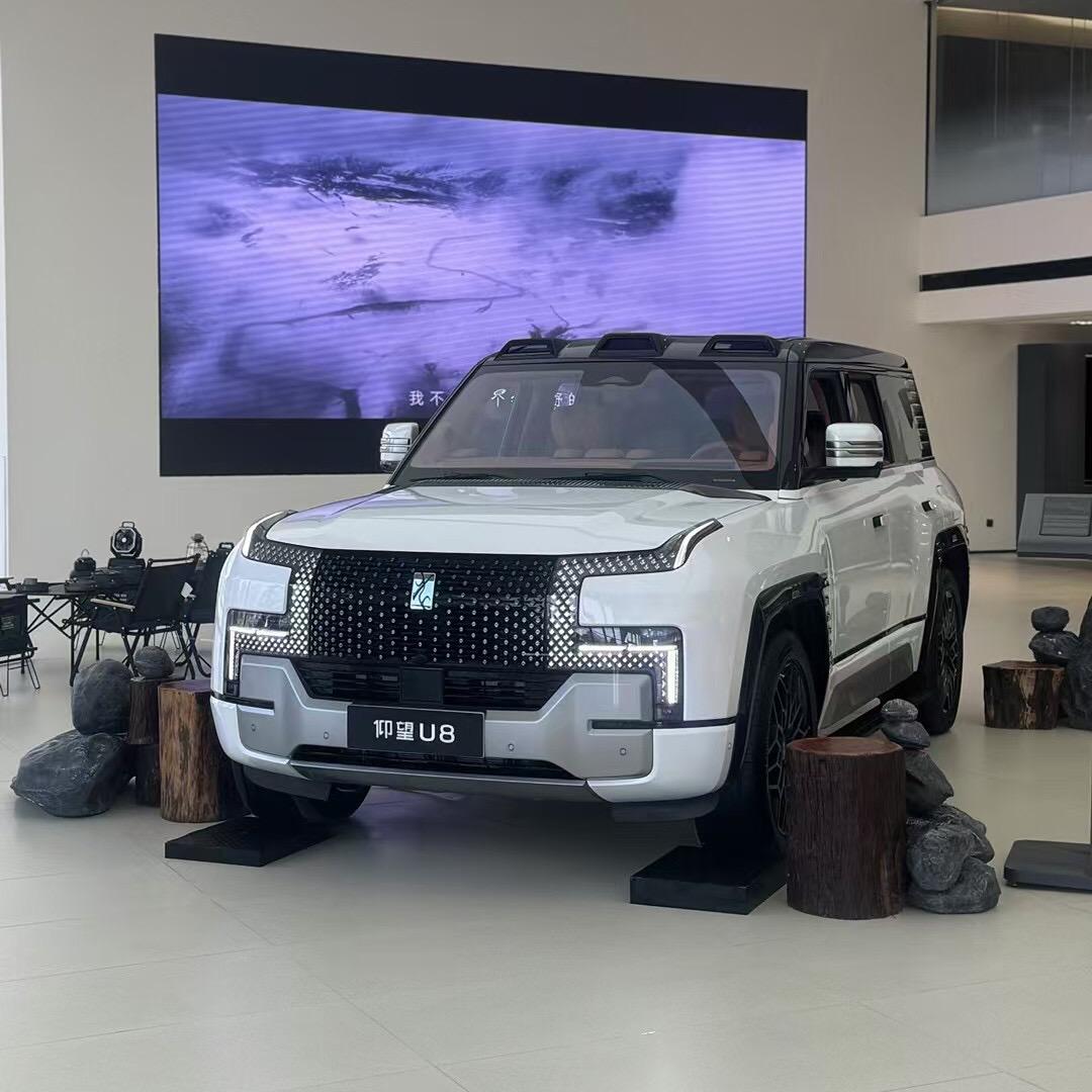 仰望里的一条辣辣C