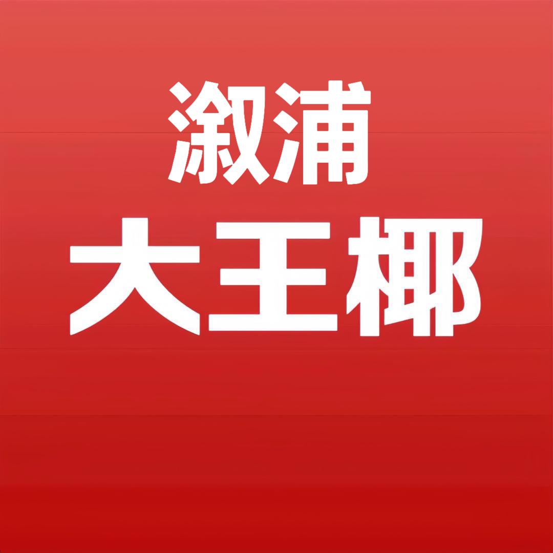 溆浦大王椰衣柜定制工厂