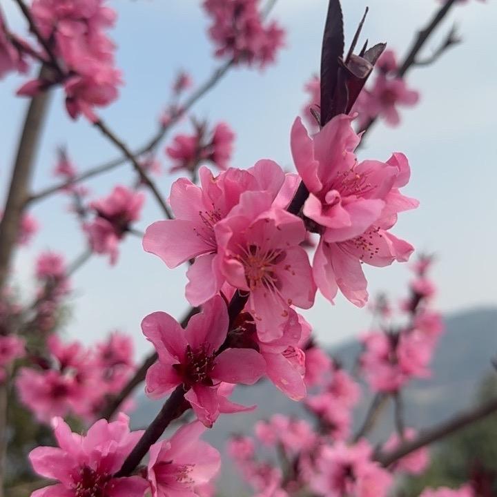 木知百货店
