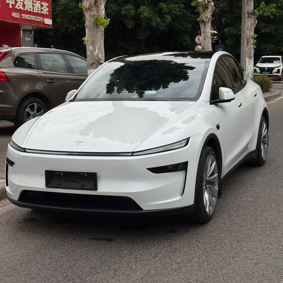 特帅的小白