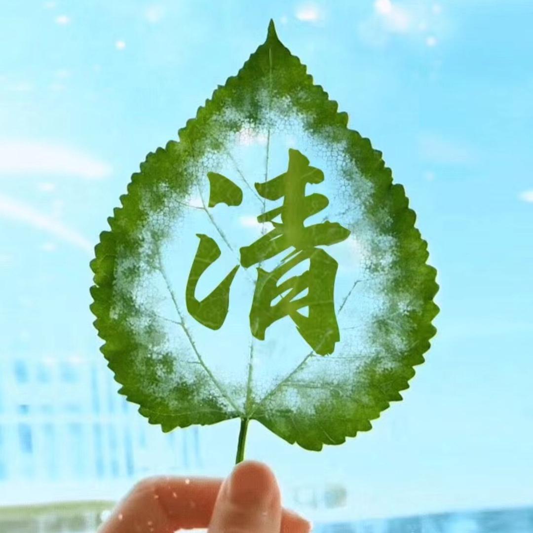 Wq门外汉Wq