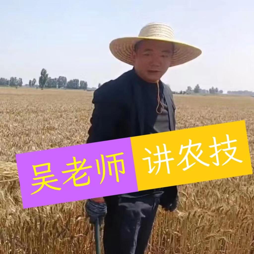 吴老师讲农技