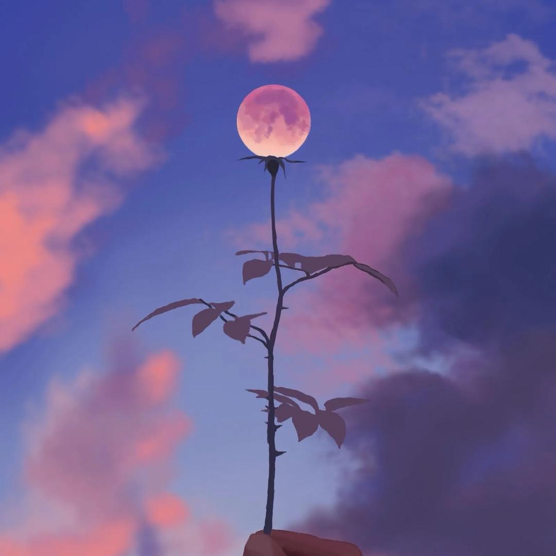 欢欢吖