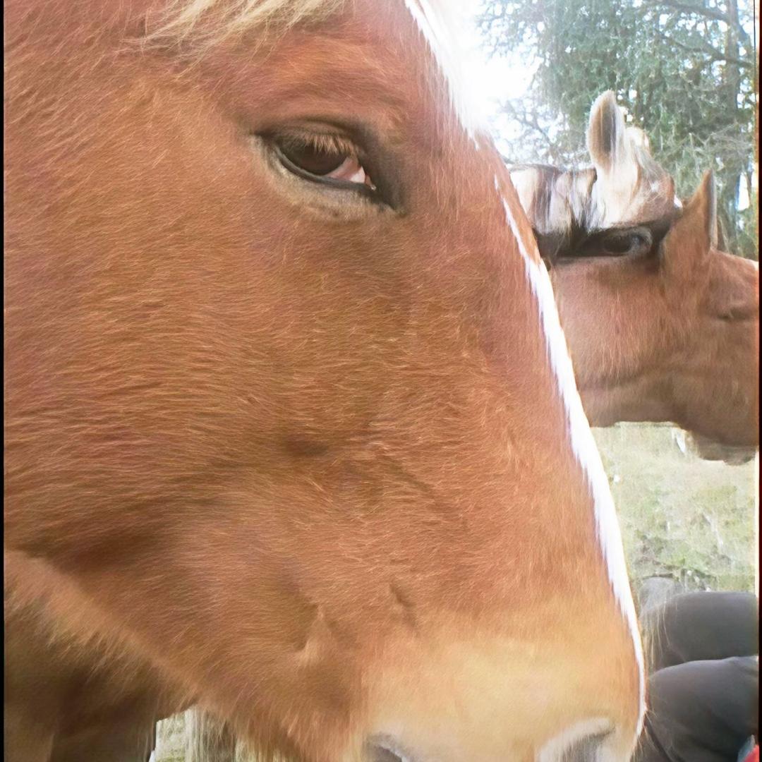 痔疮上纹身缩进去考公被主任发现辞退混社会