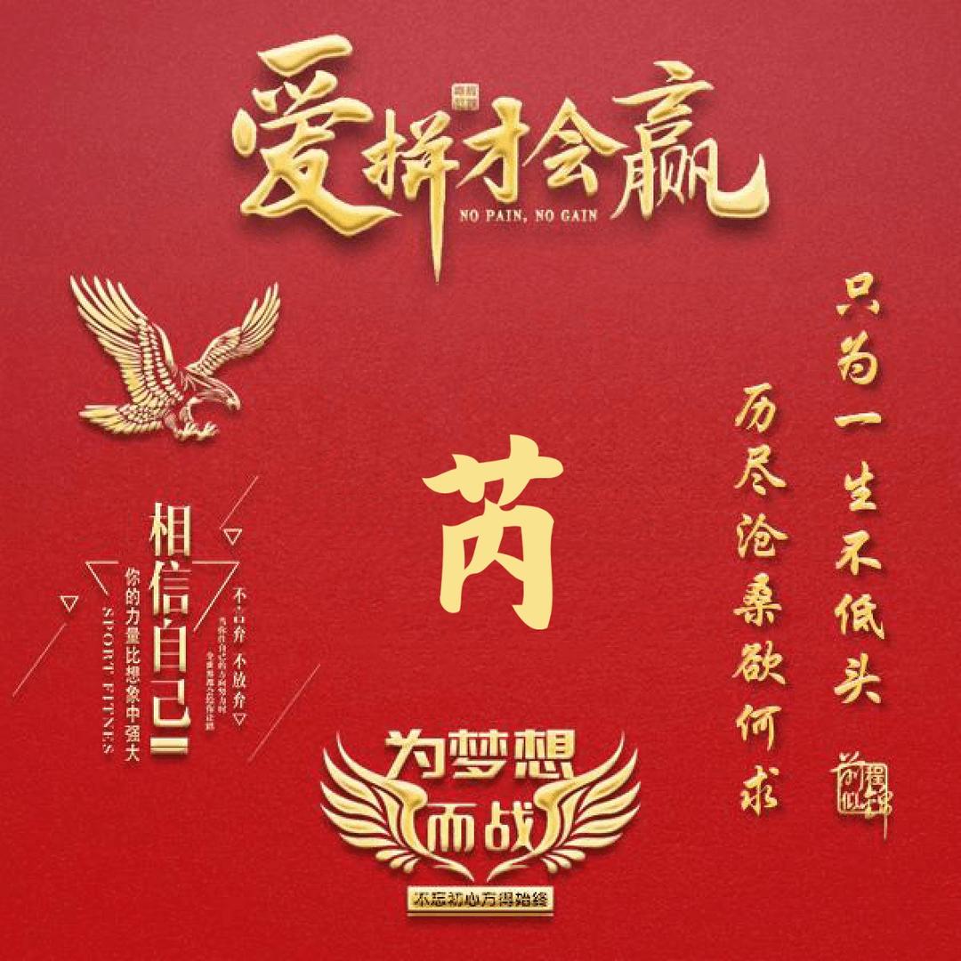 合肥二手车小芮芮