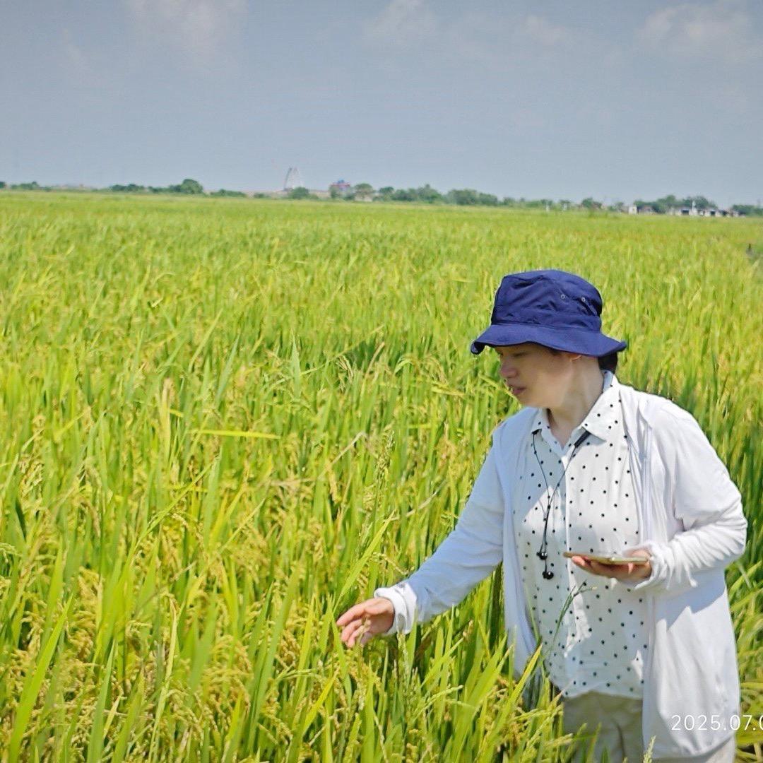 AAAA农药批发刘姐