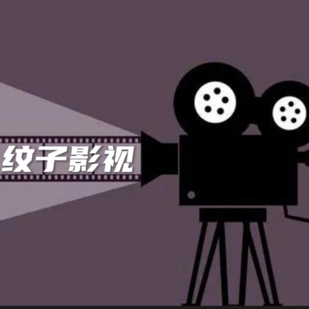 纹子影视