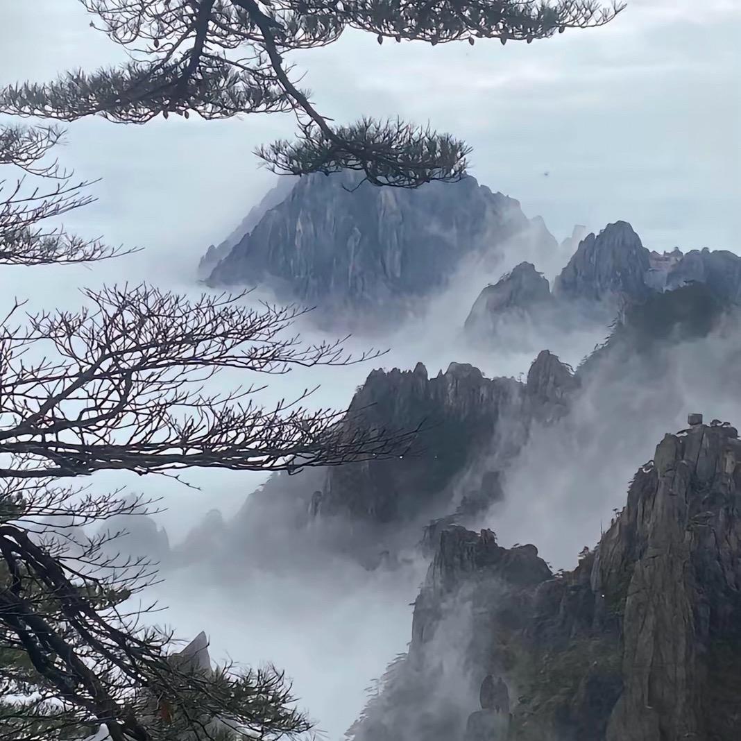 小胖甄选