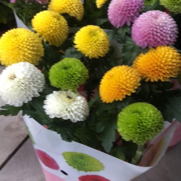 🥀ঞ陈💞࿐
