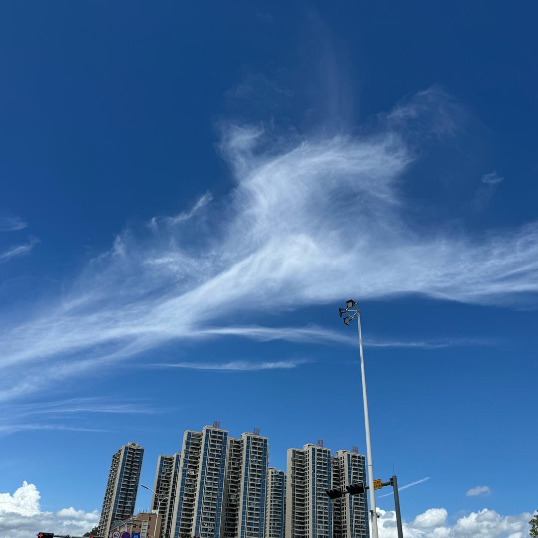 我只想jing静(˘³˘)